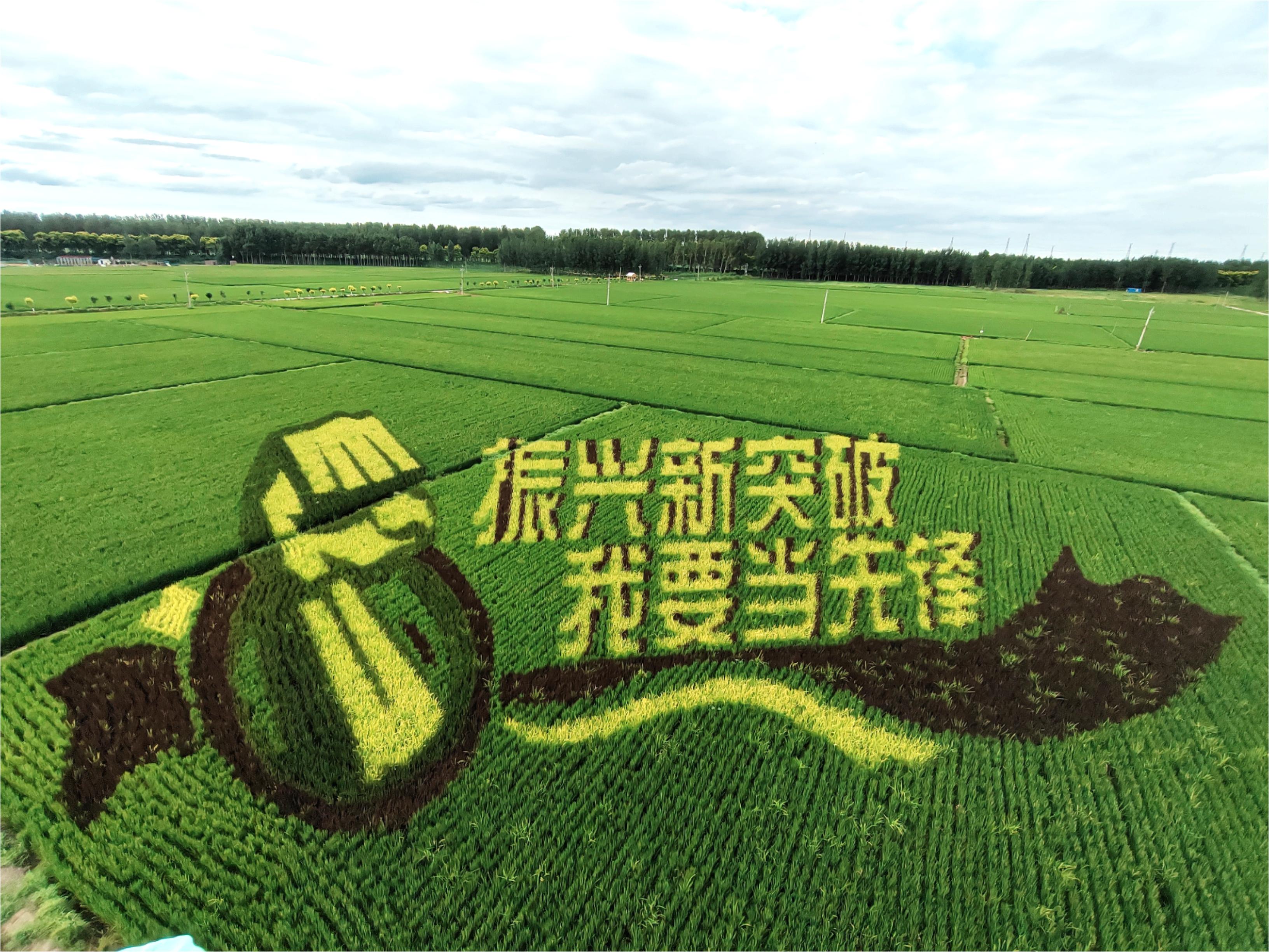 8f775f71964adc0551d2fd4692b58a1e bbin集团官网 - 相信品牌的力量
