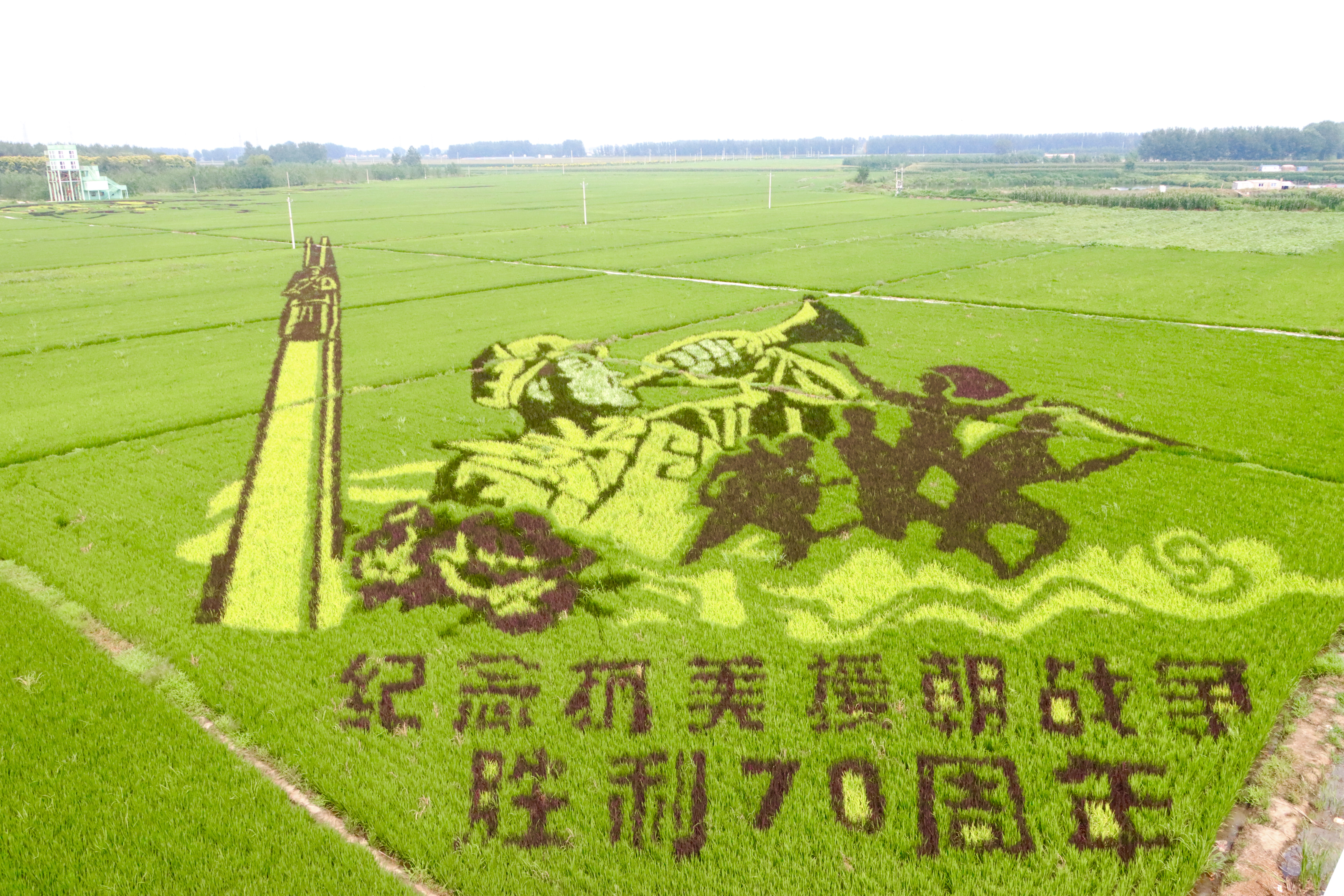 a75175148687378f22e9b4c7e2710a00 bbin集团官网 - 相信品牌的力量